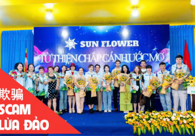 Sunflower Charity Scam: Cảnh Báo Lừa Đảo Người Đóng Góp và Các Công Ty Sự Kiện